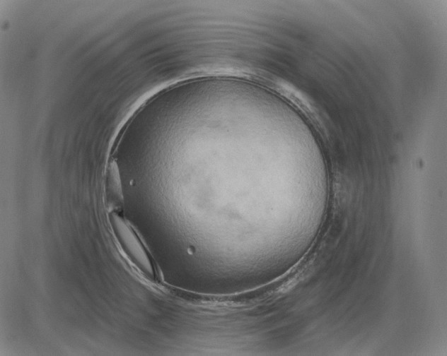 X0000083041236200702161658