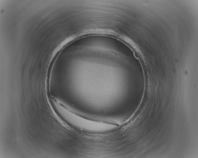 X0000083041237200702161658