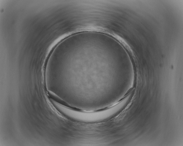 X0000083041238200702161658