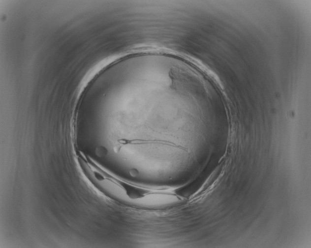 X0000083041239200702161658