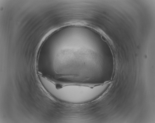 X0000083041240200702161658