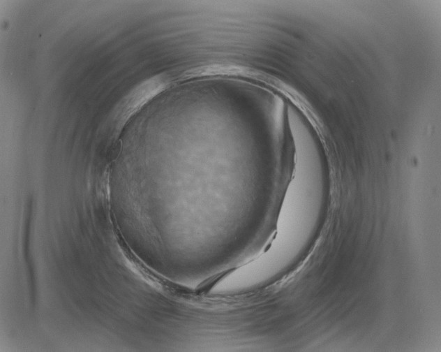 X0000083041241200702161658