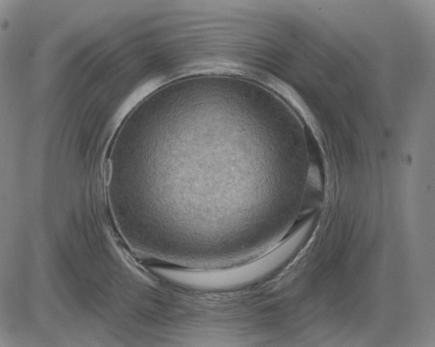 X0000083041242200702161658