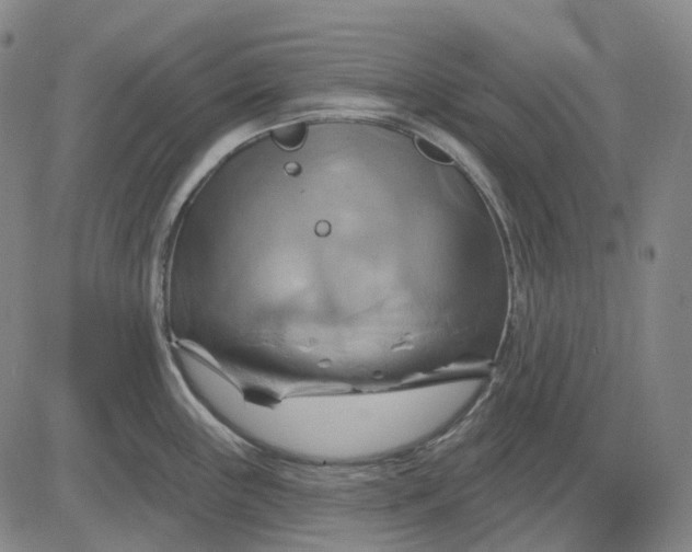 X0000083041243200702161658