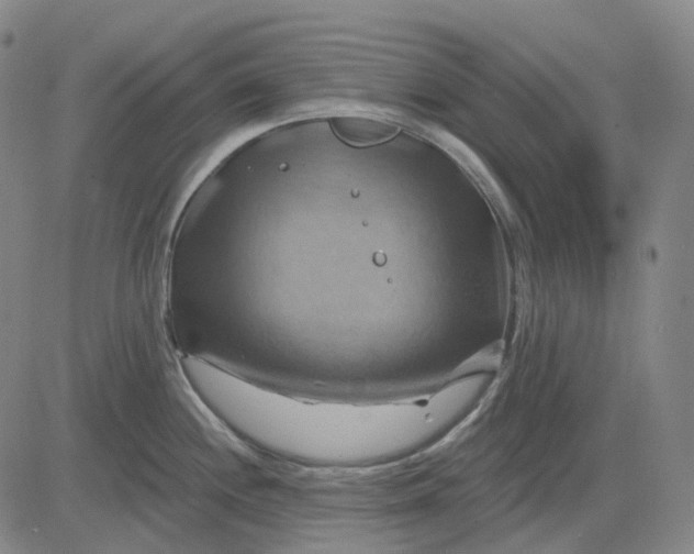 X0000083041244200702161658