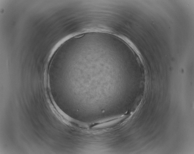 X0000083041246200702161658