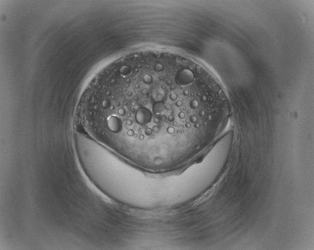 X0000083041247200702161658