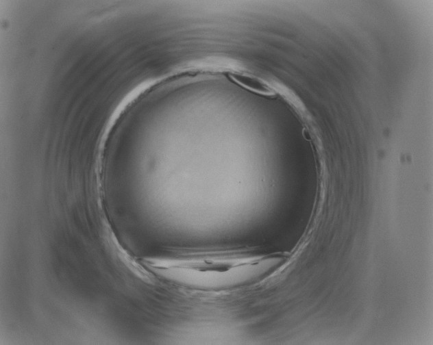 X0000083041248200702161658