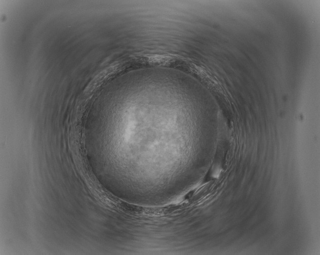 X0000083041249200702161658