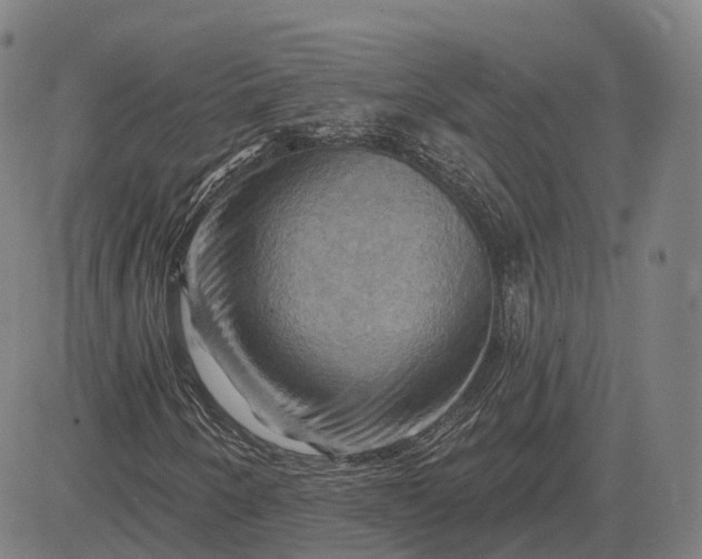 X0000083041250200702161658