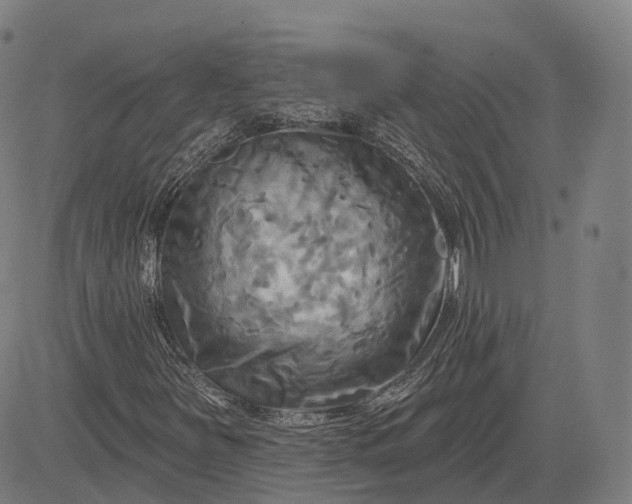 X0000083041251200702161657