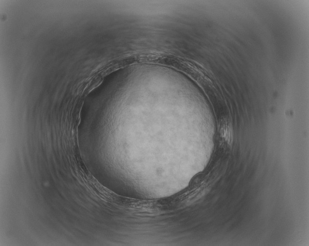 X0000083041252200702161657