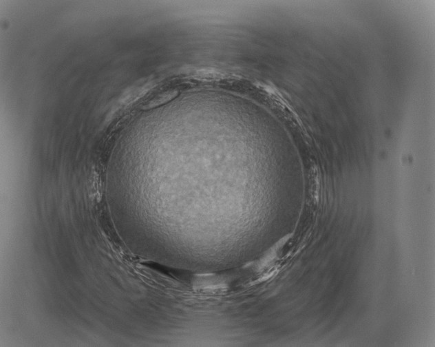 X0000083041253200702161657