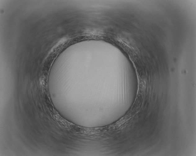 X0000083041254200702161657