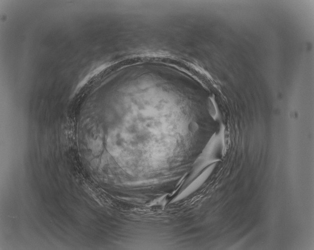 X0000083041255200702161657