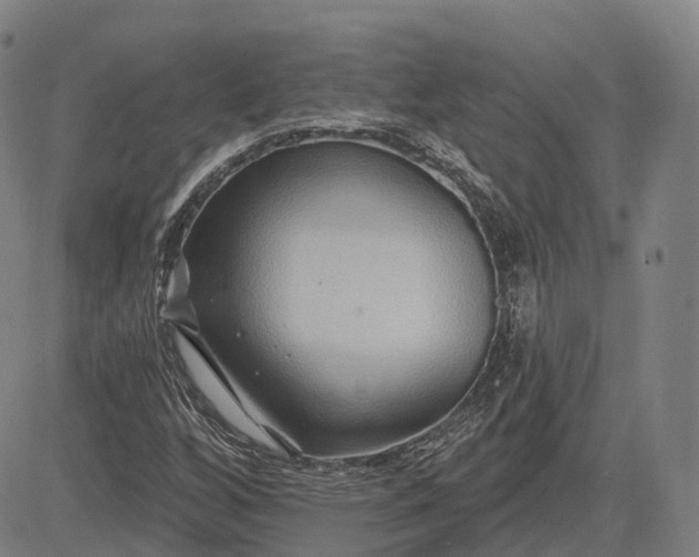 X0000083041256200702161657