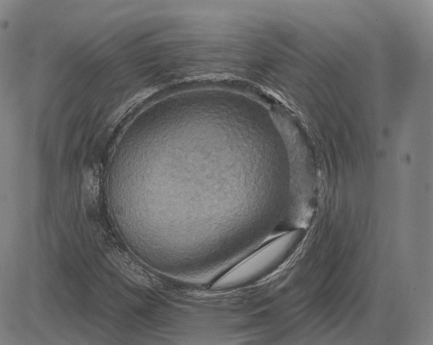 X0000083041257200702161657