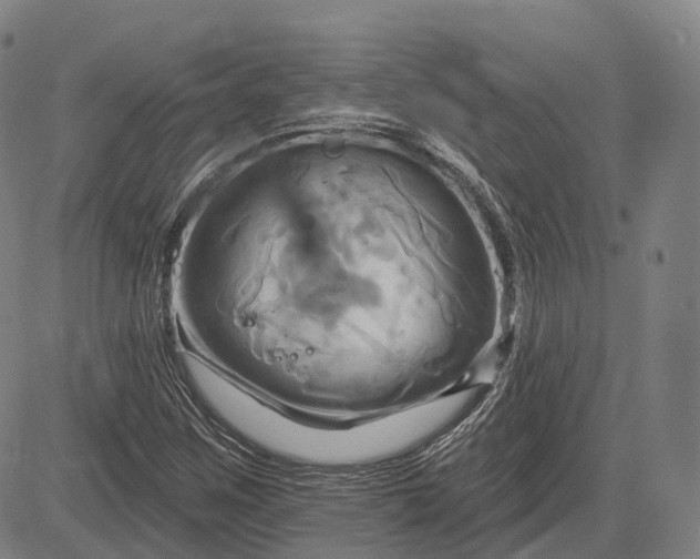 X0000083041259200702161657