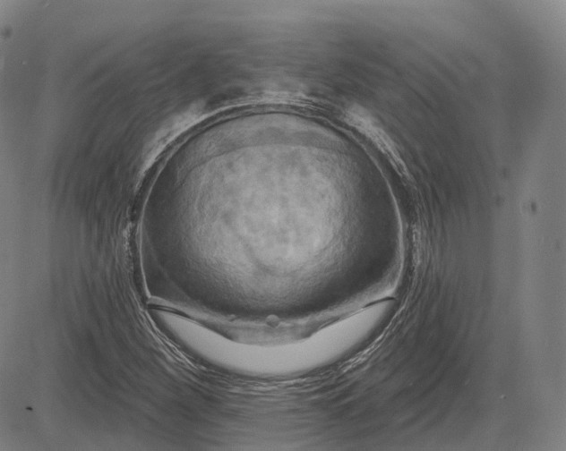 X0000083041260200702161657