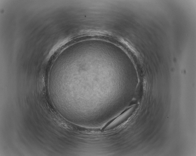 X0000083041261200702161657