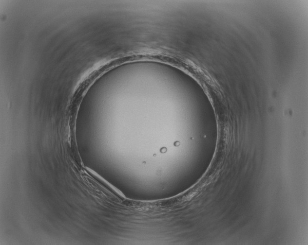 X0000083041262200702161657