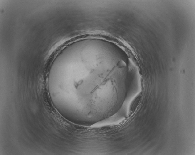 X0000083041263200702161657