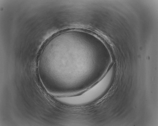 X0000083041264200702161657