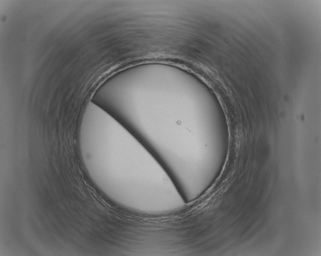 X0000083041265200702161657