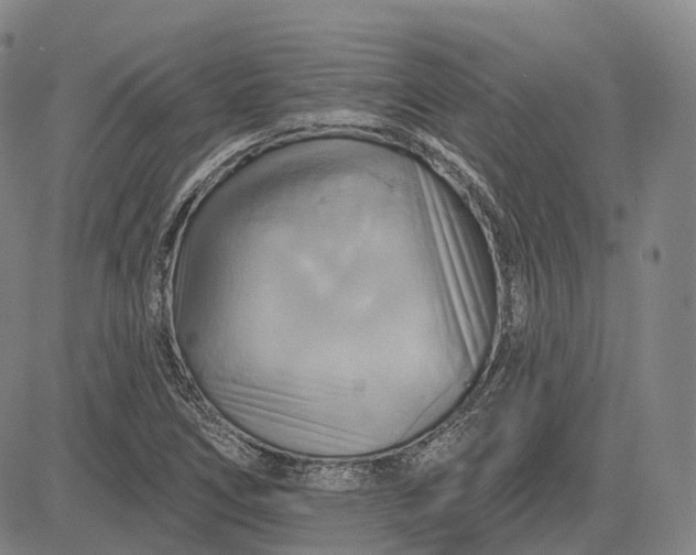 X0000083041266200702161657