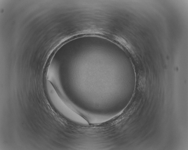 X0000083041268200702161657