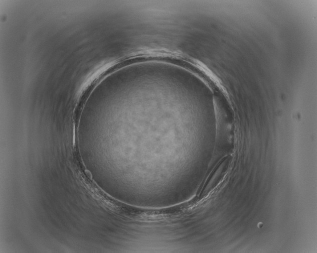 X0000083041269200702161657