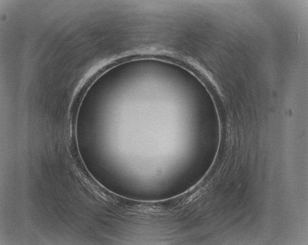 X0000083041270200702161657