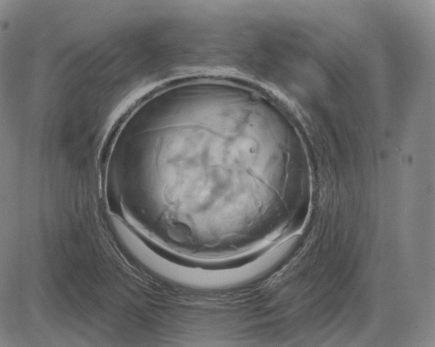 X0000083041271200702161657