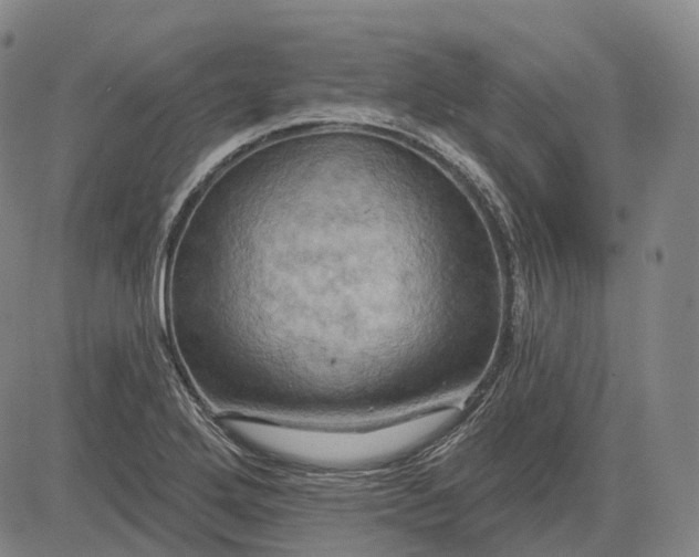 X0000083041272200702161657