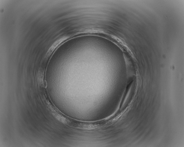 X0000083041273200702161657