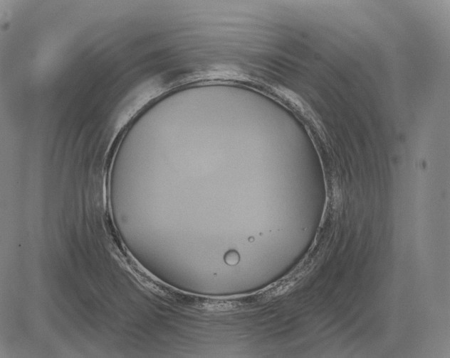 X0000083041274200702161657