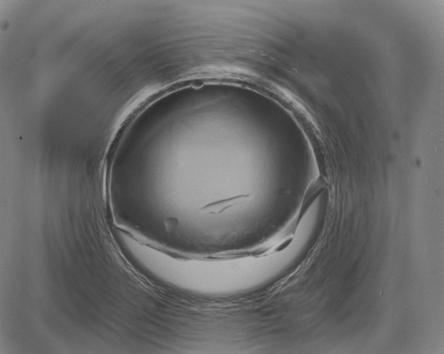 X0000083041275200702161657