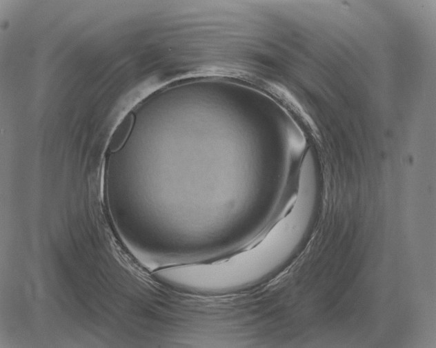 X0000083041276200702161657