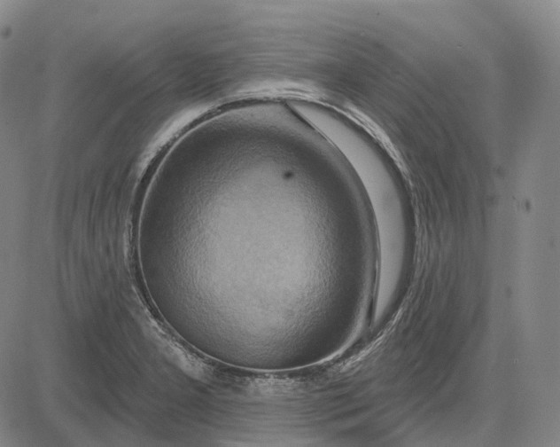 X0000083041277200702161657