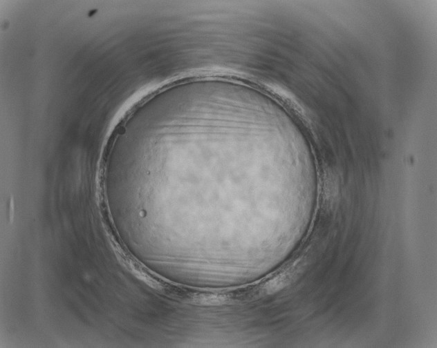 X0000083041278200702161657