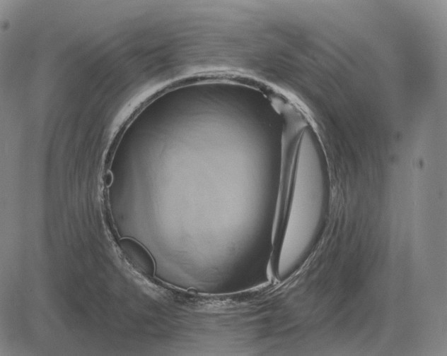 X0000083041279200702161657