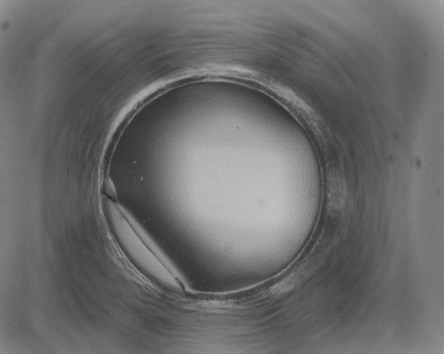 X0000083041280200702161657