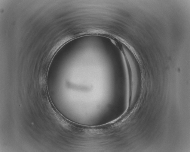 X0000083041281200702161657