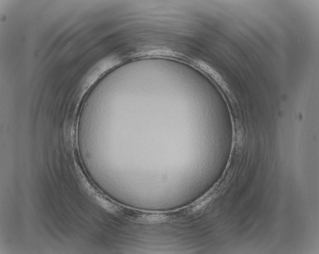 X0000083041282200702161657