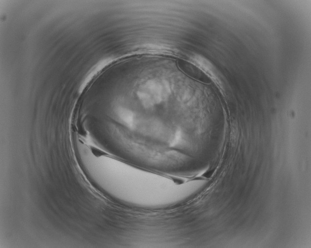 X0000083041283200702161657