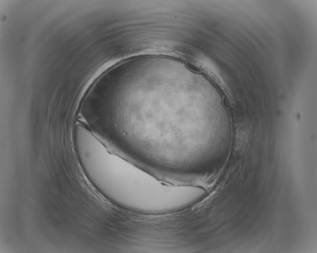 X0000083041284200702161657