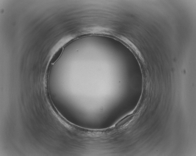 X0000083041285200702161657