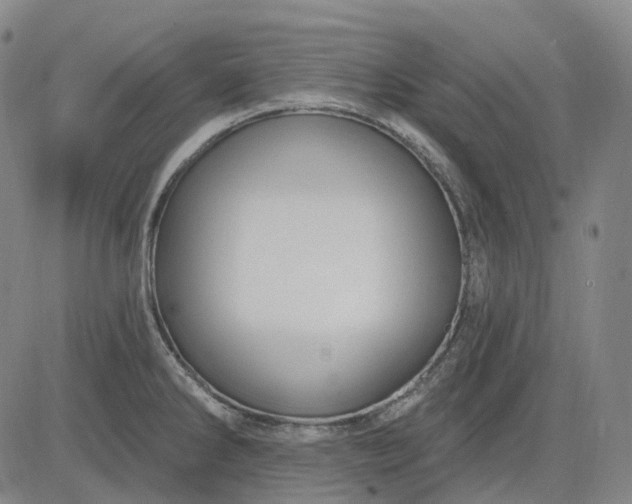 X0000083041286200702161657