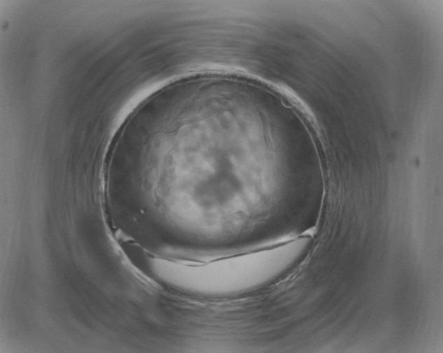 X0000083041287200702161657