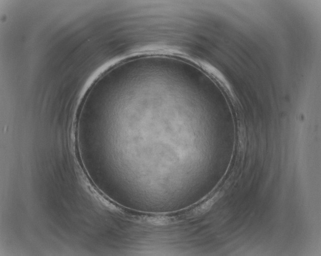 X0000083041288200702161657